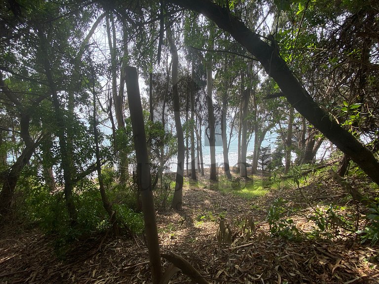 Cabin, Nature, Relaxation and Beach, Horcón