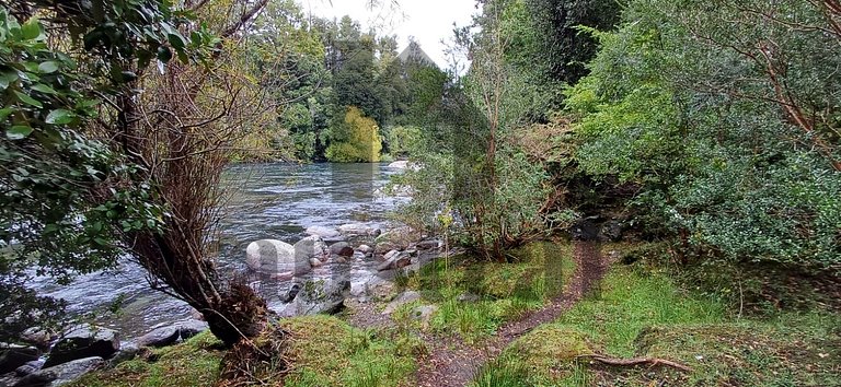 Wonderful Refuge in Pucón