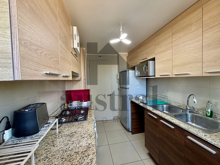 Spectacular View Apartment in Reñaca