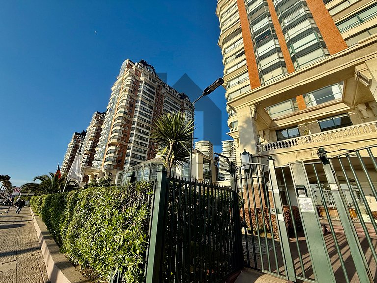 Spacious apartment facing the beach and San Martin