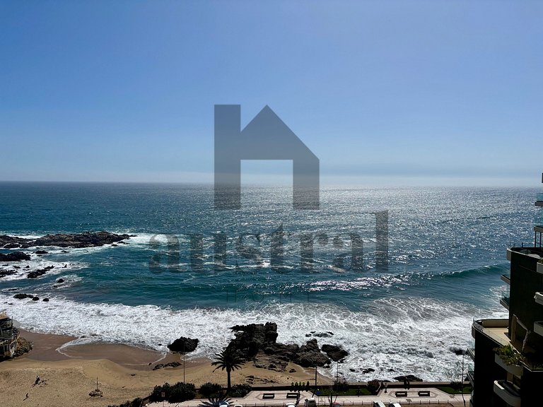 Oceanfront apartment with stunning view