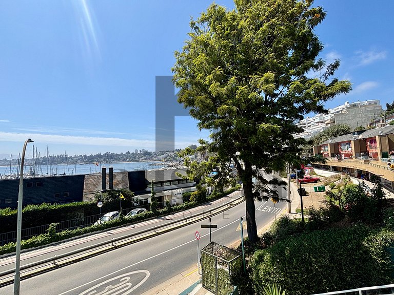 Espectacular depto full Vista al Mar Higuerillas