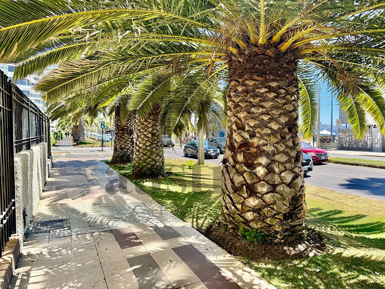 Incrível Vista al Mar na Avenida San Martin