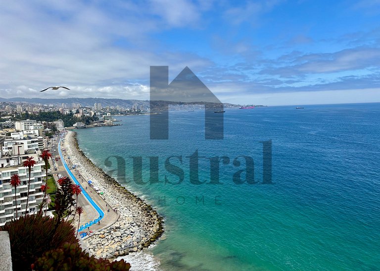 Vive Av San Martin y la Playa