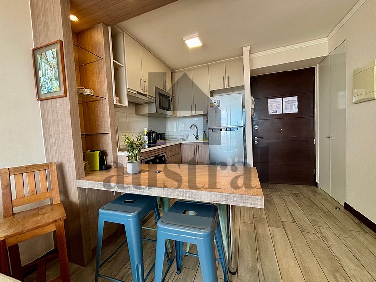 Department in modern building in Edmundo Eluchans